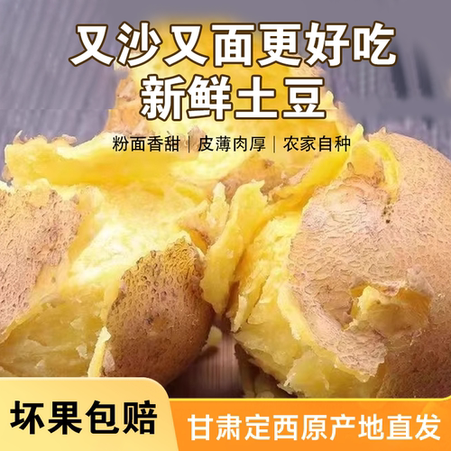 甘肃2025定西新鲜现挖高山土豆蔬菜沙面洋芋马铃薯农家黄皮现发