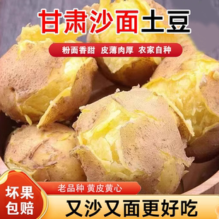 当季土豆甘肃定西黄皮沙面开花土豆马铃薯蔬菜洋芋新鲜农家现挖