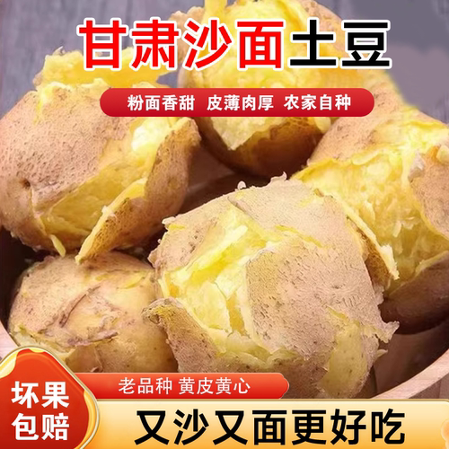 当季土豆甘肃沙面开花土豆