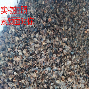 荞麦皮散装10斤特级壳免洗护颈荞麦壳枕头单人枕芯助眠枕头填充物