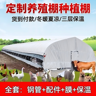 养殖大棚全套大棚骨架拱棚支架保温养鸡棚羊棚牛棚养猪大棚种植棚