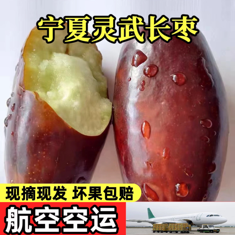 航空包邮宁夏灵武长枣现摘大枣脆甜大红枣子鲜水果孕妇鲜枣马芽枣