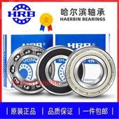 6003 6004 6008RS 6001 2RZ 6007 6002 6006 哈尔滨轴承6000 6005
