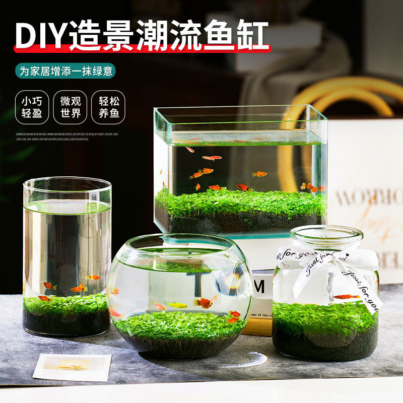 水培植物鱼缸一体鱼缸装饰造景水生植物玻璃花瓶透明水草泥水草d