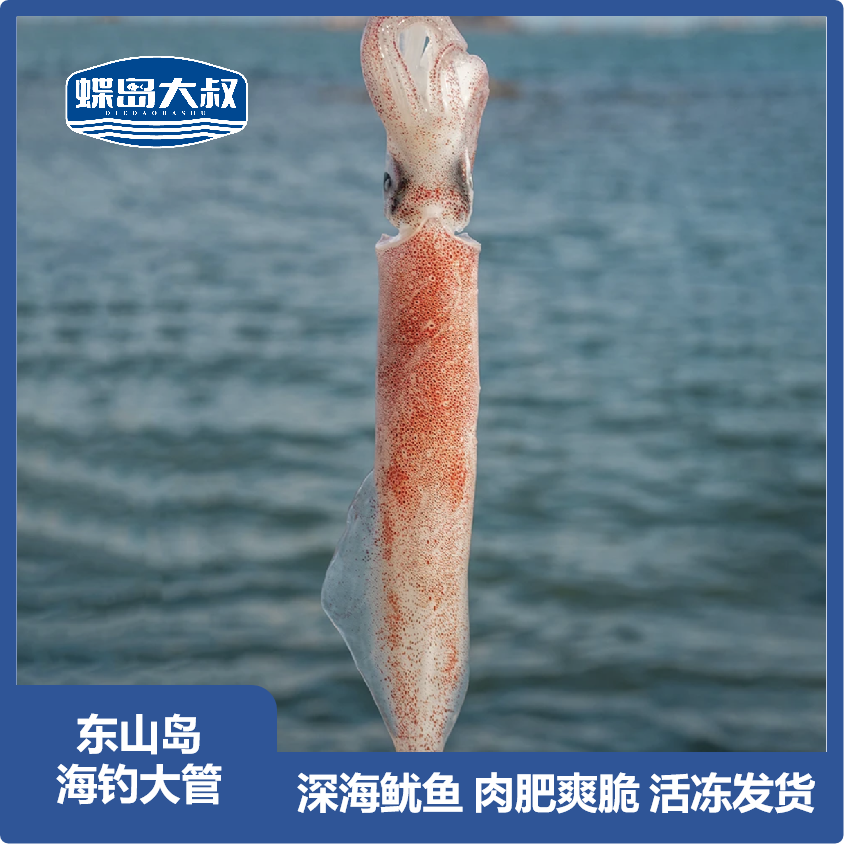【3斤装/5斤装】海钓大管大鱿鱼活冻品质  冷链包邮到家 东山发货
