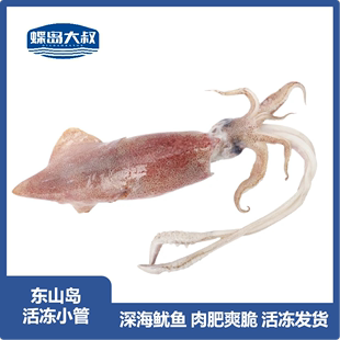 【400g/盒*4盒】东山岛带卵脆管 鱿鱼东山小管可白灼冷链包邮到家