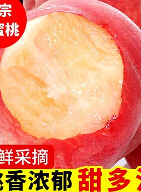 现摘山东肥城水蜜桃5寿桃