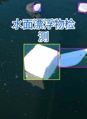 D00241-水面漂浮物检测数据集yolo格式1200+张含标签