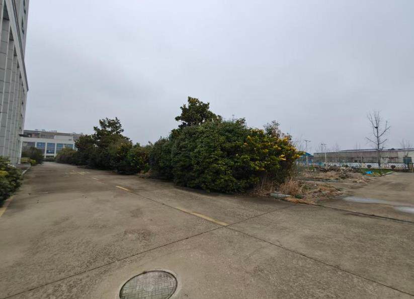 6月18日徐州市土地使用权、地上无证建筑物及地面附着物网络拍卖公告