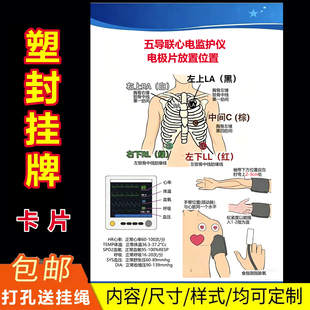 心电监护仪操作流程五导联电极片放置位置图示挂牌防水塑封医用图