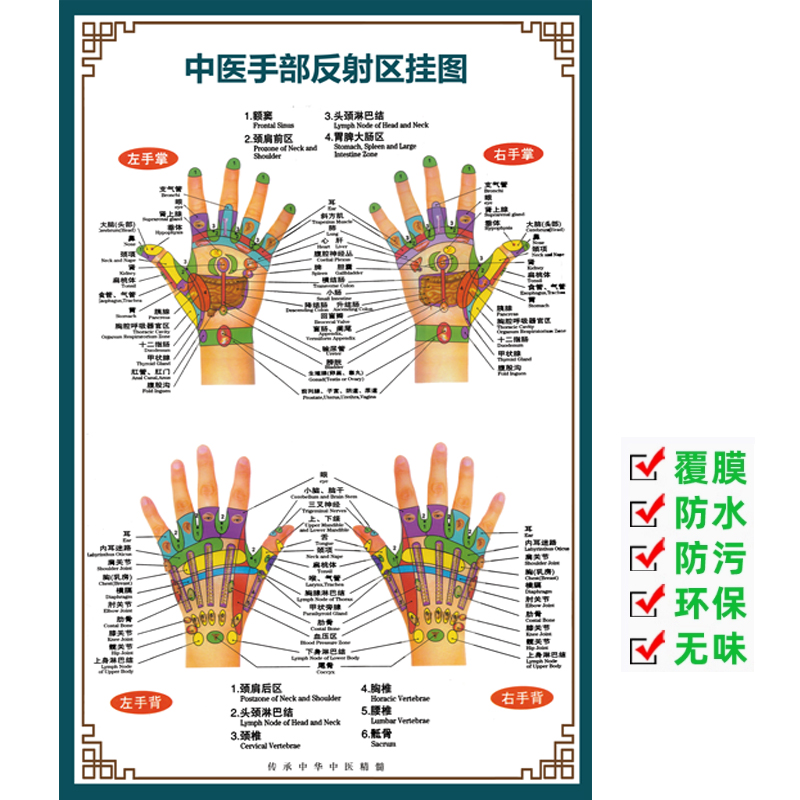 足部手部耳部穴位图经络挂图按摩