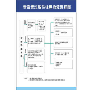 青霉素过敏性休克抢救流程图自粘贴纸医用挂图宣传挂图诊所医院门