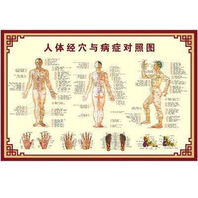 人体经络穴位对照图穴位图