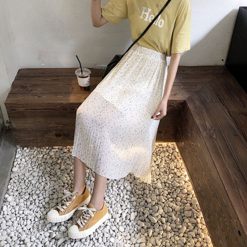 Control5 Real Price Summer 2019 New Korean version of 100 pleats small fragments high waist show thin Chiffon half-length skirt