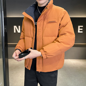 新款标羽绒服立领YRF128-P165图片