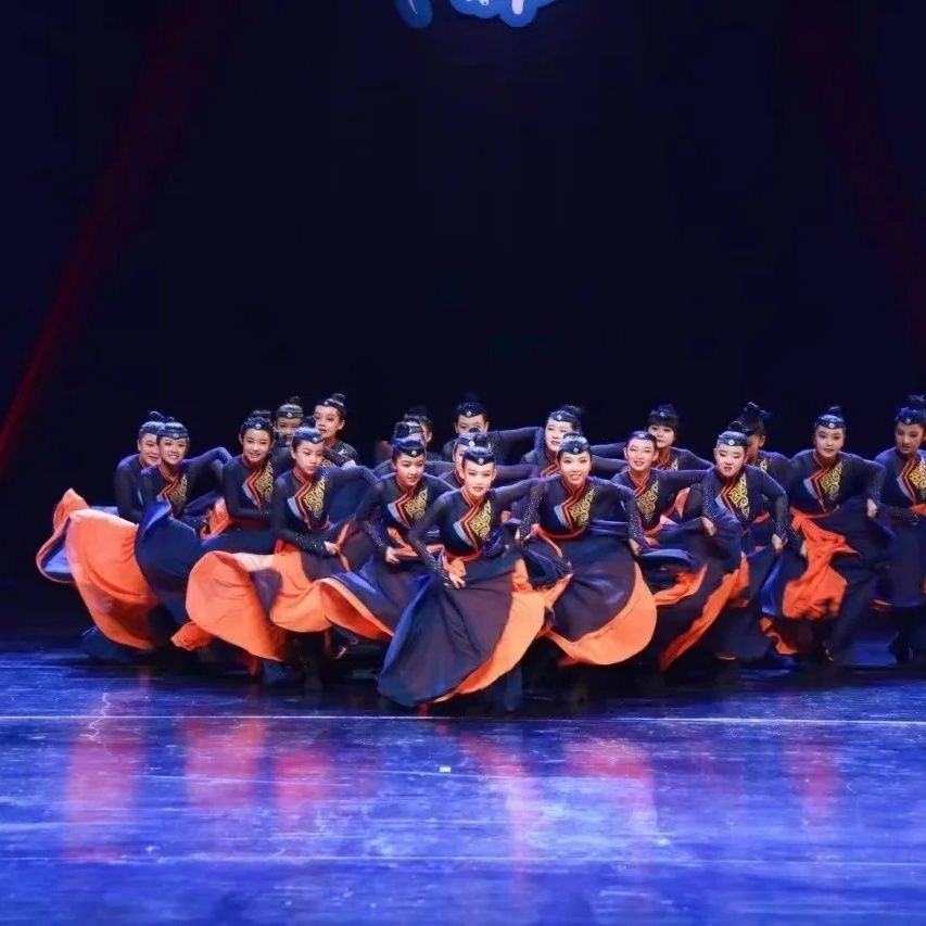 蒙古族舞蹈演出服儿童女民族风大摆裙艺考练习表演服装