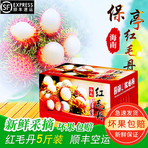 海南特产现摘红毛丹毛荔枝7号果净重5斤当季孕妇新鲜水果礼盒包邮