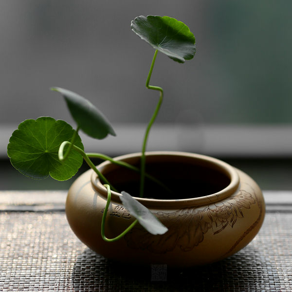 【已售】范列紫砂 老款 段泥刻绘水洗