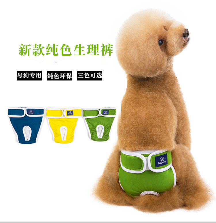 小型大型犬安全裤母狗大姨妈月经