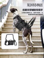 Pet full-body auxiliary chest and back straps, front and hind leg auxiliary traction ropes for rehabilitation exercise of elderly, disabled and injured dogs thumbnail 3