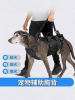 Pet full-body auxiliary chest and back straps, front and hind leg auxiliary traction ropes for rehabilitation exercise of elderly, disabled and injured dogs thumbnail 2