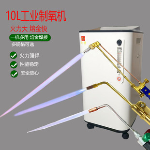 工业级 10L 打金制氧机 熔金助燃专用氧气机 首饰加工供氧设备