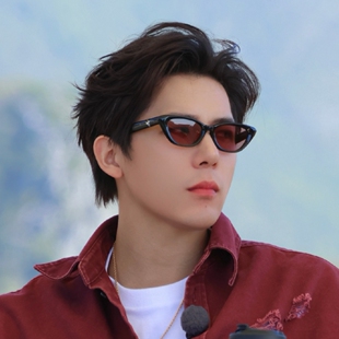 原版现在就出发3王安宇同款墨镜男女ins复古欧美气质百搭太阳眼镜