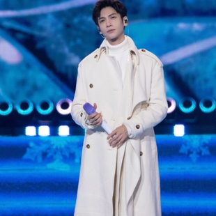 原版2026跨年演唱会罗云熙同款毛呢外套秋冬中长款翻领大衣男衣服