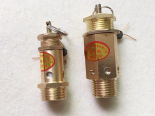 鹿城江心佳先电加热锅炉蒸汽发生器安全阀压力控制阀门泄气泄压阀