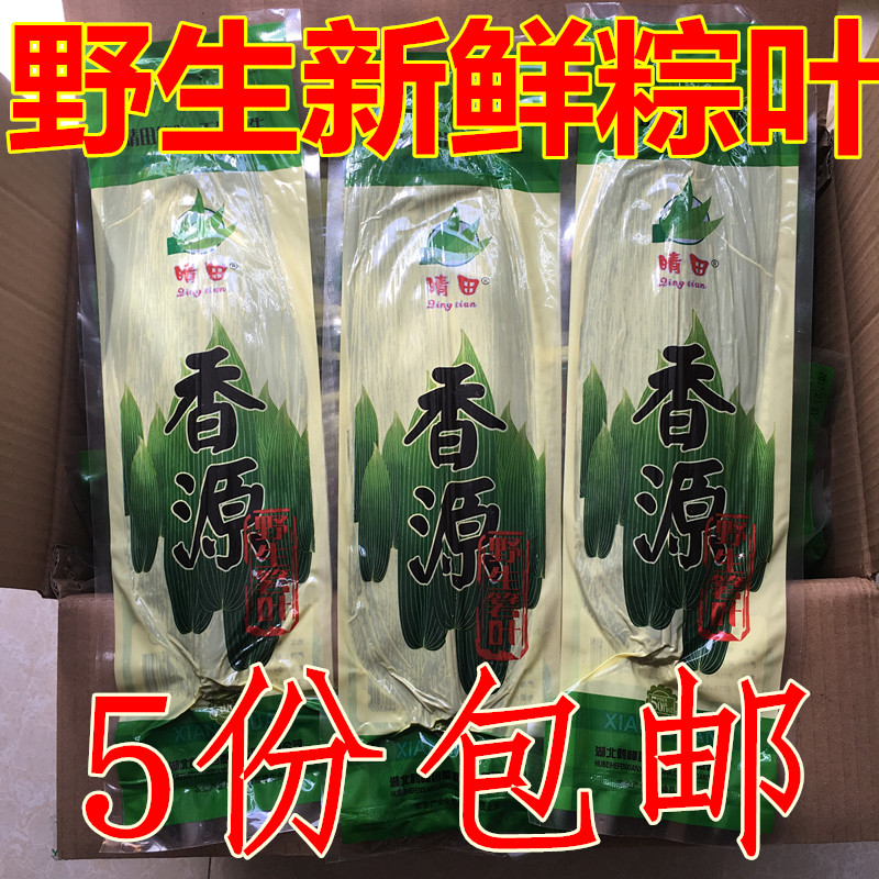 鲜粽叶新鲜包粽子叶箬芦苇叶真空现摘发5包250片包邮