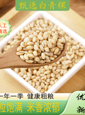 白青稞农家新米五谷杂粮白色青稞米代餐早餐粗粮粥米粗粮饭生白米