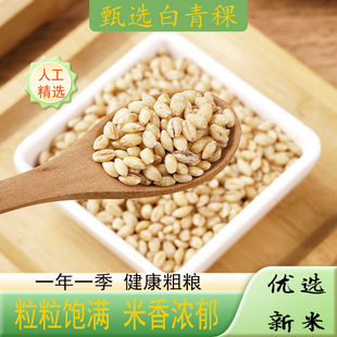 白青稞农家新米五谷杂粮白色青稞米代餐早餐粗粮粥米粗粮饭生白米