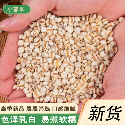 新小薏米仁5斤农家自产薏苡仁