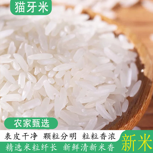 猫牙米新米长粒香米煲仔饭煮粥米