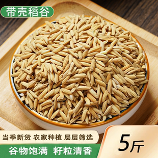 5斤农家自种谷子新磨米食用带皮大米原生态杂交稻谷 稻谷带壳水稻