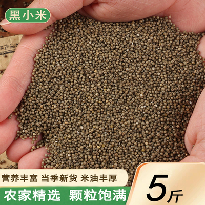 精选黑小米5斤新米农家自种小米