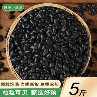 新货黄芯小黑豆5斤 老品种农家自产肾形扁黄心小黑豆雄黑豆