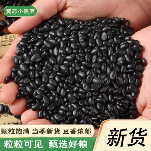 新货肾形黄芯小黑豆5斤农家自产