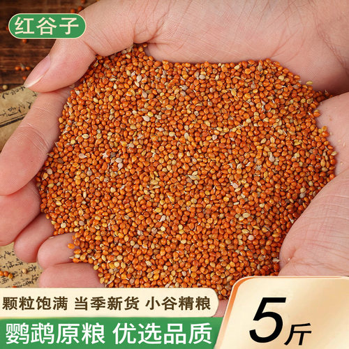 红谷子虎皮鹦鹉原粮玄凤文鸟小米
