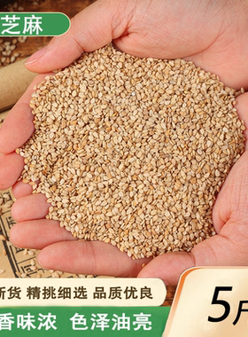 白芝麻生新货5斤散称油芝麻带皮免洗商用批发带皮白色芝麻仁