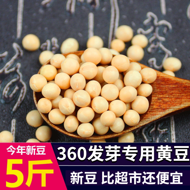 发芽黄豆5斤 360发芽专用黄豆发豆芽小黄豆做纳豆农家自种小金黄
