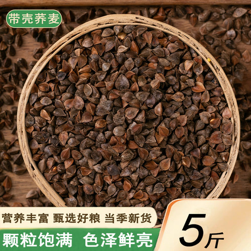新货带壳荞麦5斤农家自产三角麦