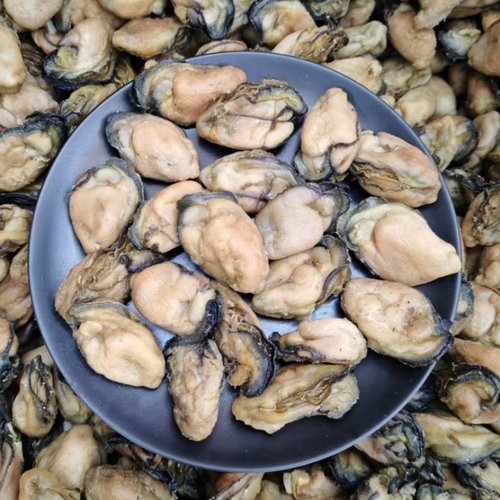 优质生蚝干汕尾本地250g干货