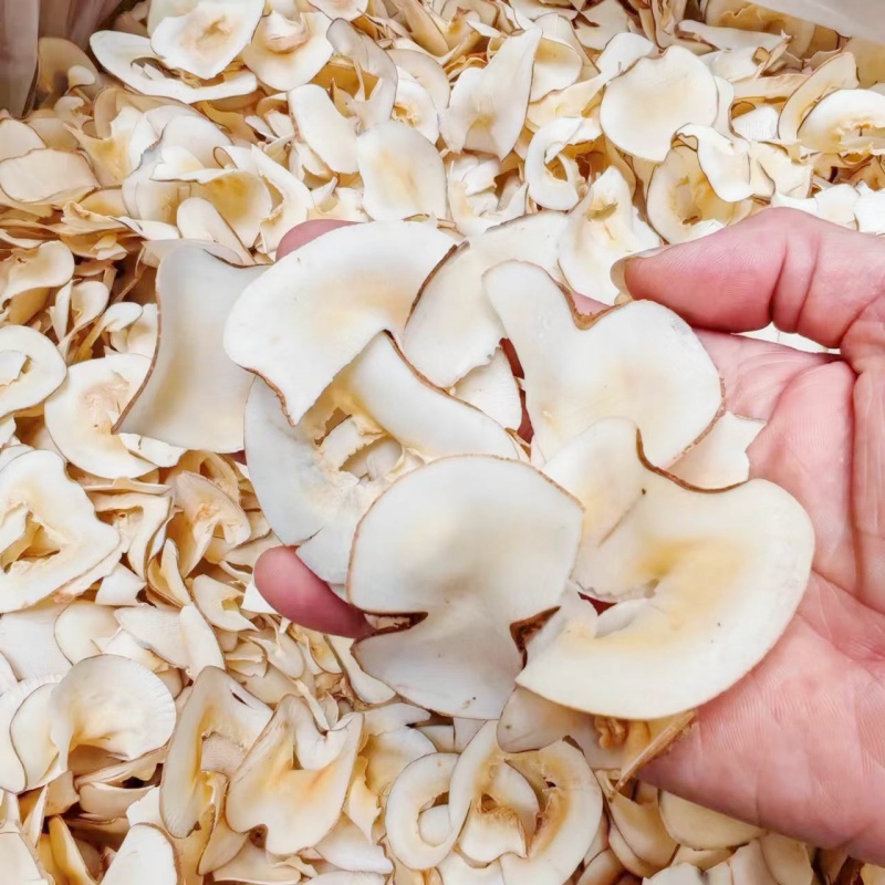 海底椰片100-250G煲汤原材料原色原味滋润浓香干货