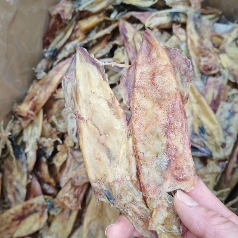 原船淡晒吹筒仔汕尾本港鱿鱼筒