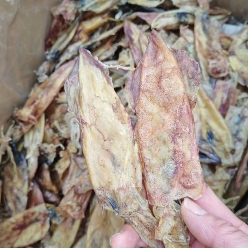 原船淡晒吹筒仔汕尾本港鱿鱼筒