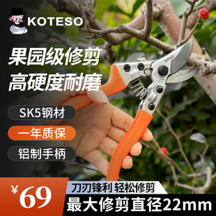 台湾原装 KT108V修枝剪小手剪果树剪园艺剪刀 进口开拓者KOTESO