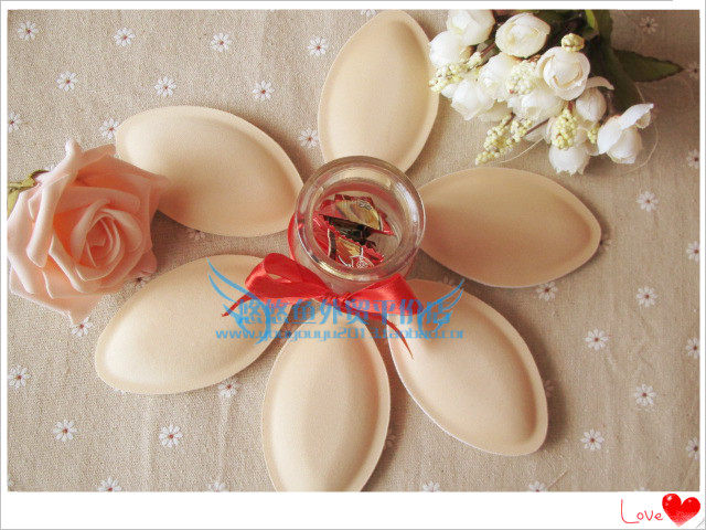 Pads pour soutien-gorge - Ref 811707 Image 1