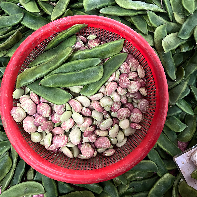 广西桂林新鲜荷包带壳发货豆花豆大肾豆桂林特产大荷包豆煲汤焖煮,水产肉类/新鲜蔬果/熟食,新鲜豆类,淘宝优惠券,粉丝福利购,淘宝优惠卷