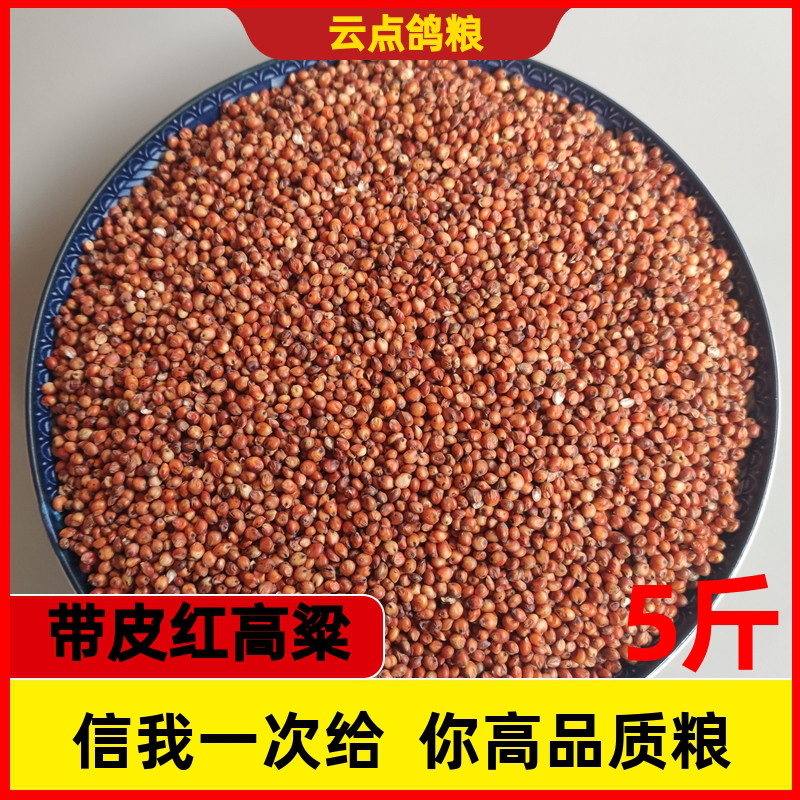 带皮农家食粮酿酒高梁米鸽子粮食